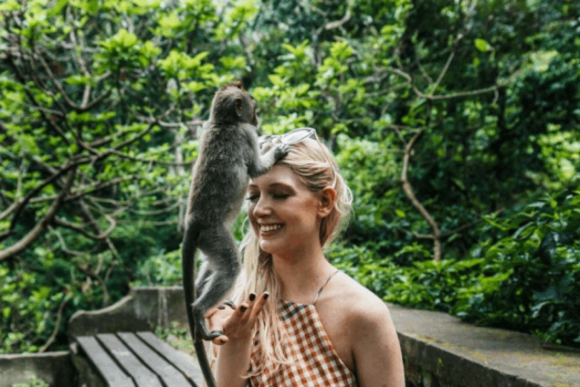 Monkey Forest (4)