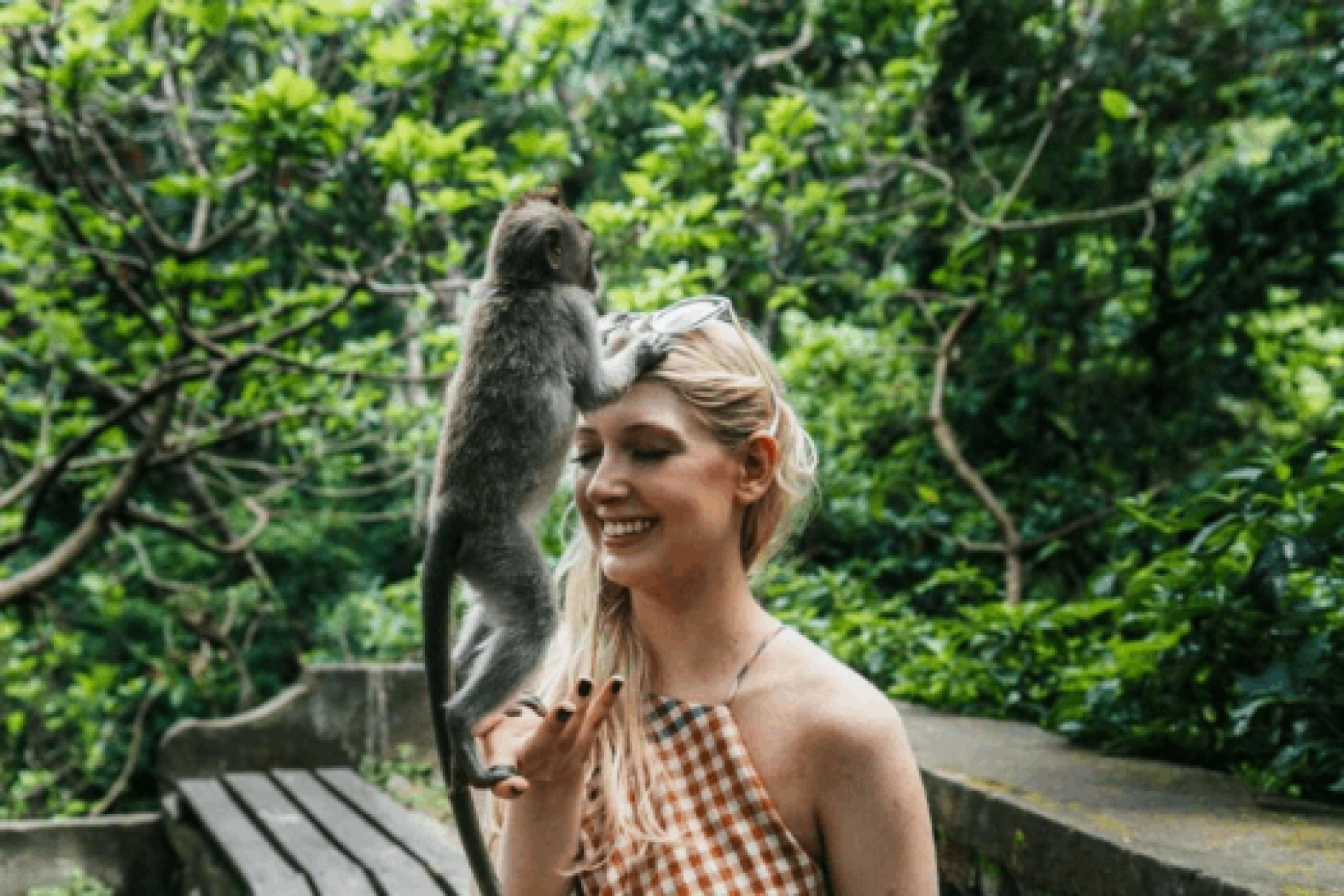 Monkey Forest